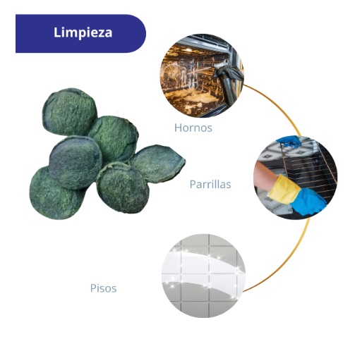 Fibras Metálicas Con Jabon Desengrasante 6 pz